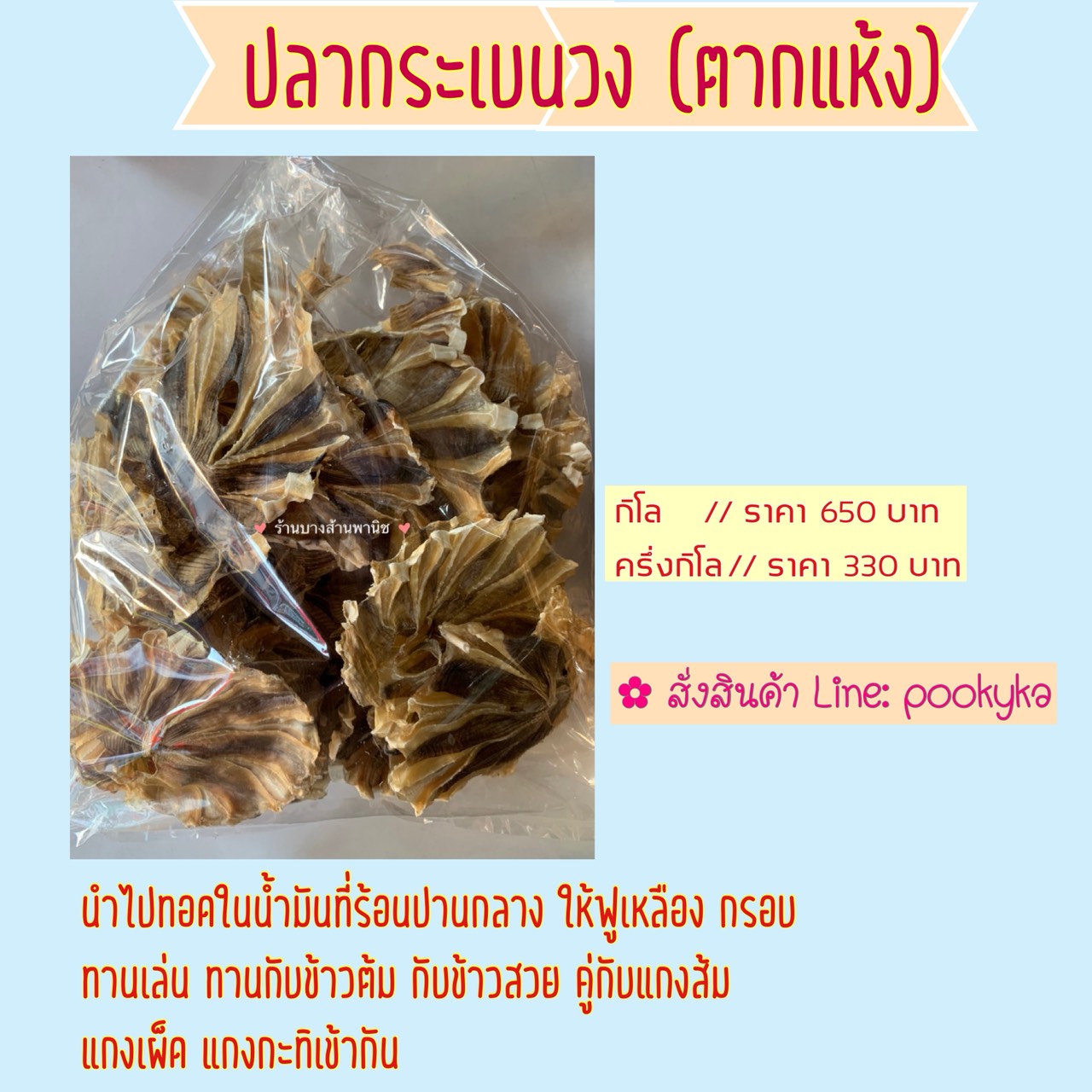 ปลากระเบนวงตากแห้ง ระนอง